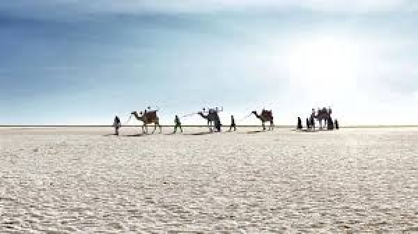 RANN OF KUTCH